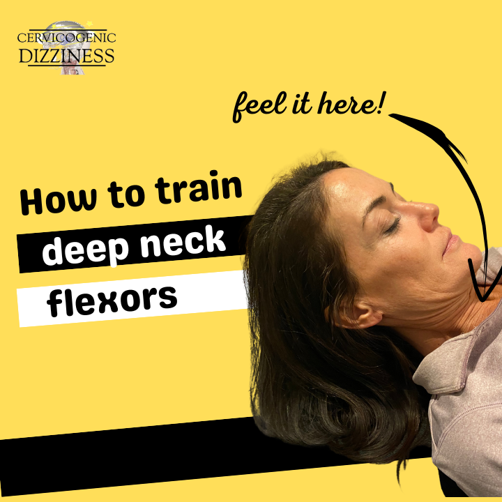 How to train the deep neck flexors - Cervicogenic Dizziness