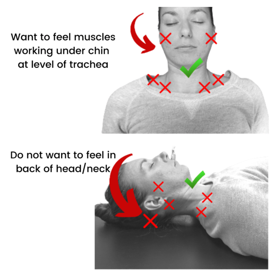 How to train the deep neck flexors - Cervicogenic Dizziness